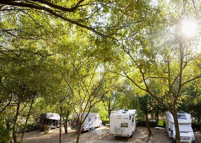 Camping As Cancelas